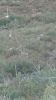 2012-09-09_10-58-07_451_zpse0299e01.jpg