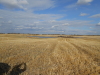 Terrain.jpg