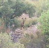 IMAG0658_zps90bf0189.jpg