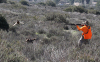 BoomerElMatavenados_zps09d421cf.jpg