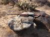 July4_2013_JackRabbit_zps4db662cd.jpg