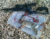 RabbitHunt_Morn_07142012.jpg