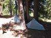 trinityalps14012.jpg