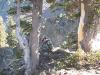trinityalps14017.jpg