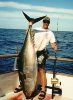 203yellowfin3_zps2b30796d.jpg