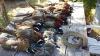 20141017_101017_zpsi7yiscct.jpg