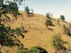 FullSizeRender%2065_zpszdahi5po.jpg