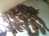 PICT0115.jpg