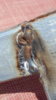 20170706_124301.jpg