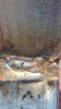 20170706_124248.jpg