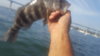 20170708_080110.jpg
