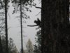 washington elk hunt lllll 2011 006.JPG