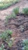 20170704_184013.jpg