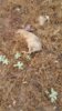 20170610_075946.jpg