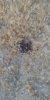 20170731_062349.jpg