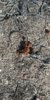 20170731_084644.jpg