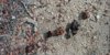 20170731_083147.jpg