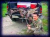 boar-chuang 1st 10-4-03.jpg