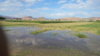 20170827_173237.jpg