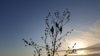 20170901_065721.jpg