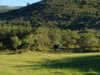 20170820_073631.jpg