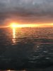 IMG_1785.JPG