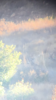 IMG_5333.PNG