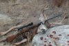 2017 D16 Buck.jpg