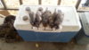 20171105_115157.jpg