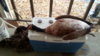 20171112_094408.jpg