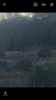 CEE5B291-B99C-46DA-929D-D1A9F62450F6.png