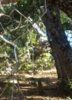 20171122_121522.jpg