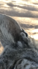2714213B-96BD-40D3-B7BC-C26E0F9DC7F3.png