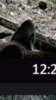 4C9425B0-EF29-4F36-924E-8C1FA9939EF7.png
