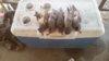 20171217_104323.jpg