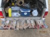 rabbit hunt 7-11-13 002.JPG