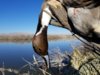 20171230_084949.jpg