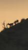 29760E52-8F3B-4267-9E4D-81AA3453C8DF.png