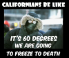 f32c912650703191d75e648c2ab4a5ae.jpg