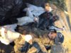 Mike, Daniel, Ryder with geese in blind.jpg