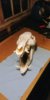 20171220_003103.jpg