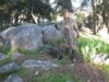 josh's 1st bow kill 2011 009.JPG