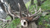 99029F0F-FFAD-4CCA-8E3B-D5497DA1F6F2.png