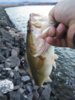 IMG_20180317_074527.jpg