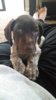 20180303_071146.jpg
