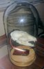 20180427_184228.jpg