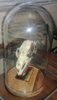 20180427_184247.jpg