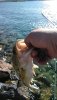 IMG_20180616_084517.jpg