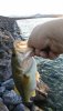 IMG_20180616_063926.jpg