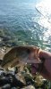 IMG_20180616_084513.jpg